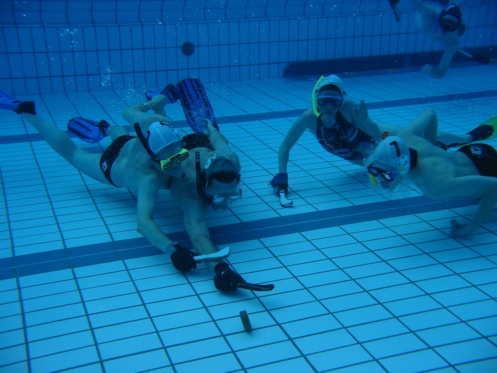 Underwater hockey players reach for a puck at the bottom of a pool